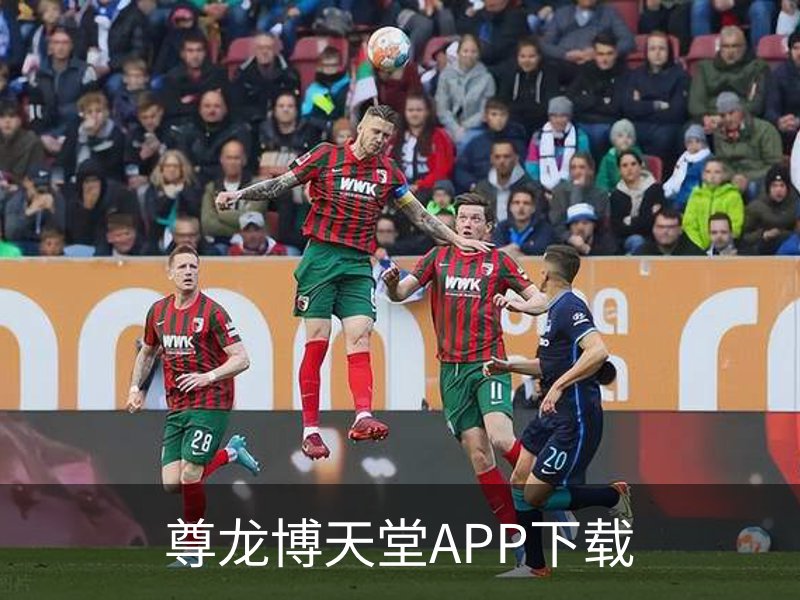 关于尊龙博天堂APP下载